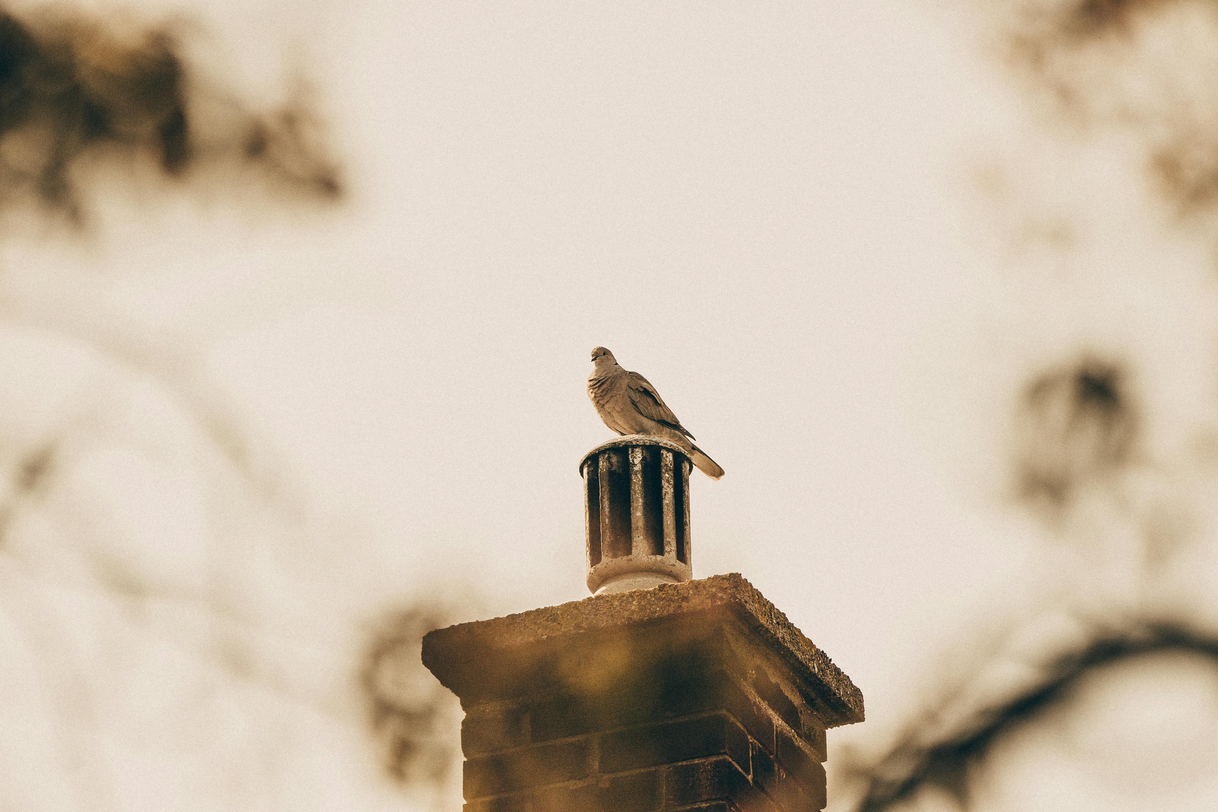 Professional Chimney Cap Installation Services in Malibu, CA Expert Chimney Cap Installation in Malibu, California